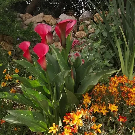 Da Mario&marianna Apartamento Campanedda