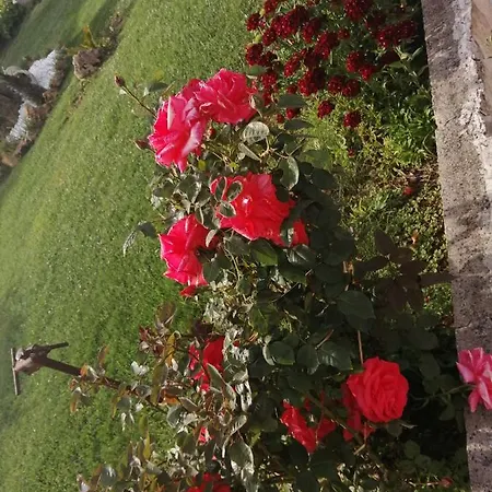 Da Mario&marianna Apartamento Campanedda