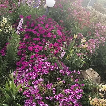 Lejlighed Da Mario & Marianna