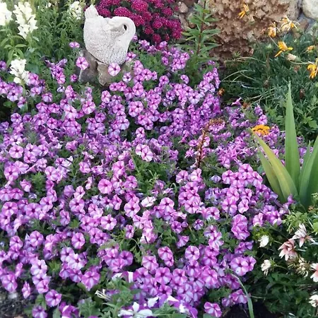 Da Mario & Marianna * Campanedda